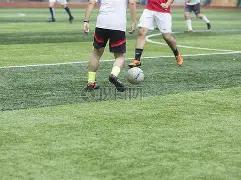 全景,辽宁王朝三,冠荣耀,威廉希尔(WilliamHill)官网,威廉希尔,(WilliamHill)平台,威廉希尔,(WilliamHill)官网app,威廉希尔,(WilliamHill)中文官方网站