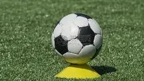 2025年5月31日体育快讯：晚间至晨间焦点盘点