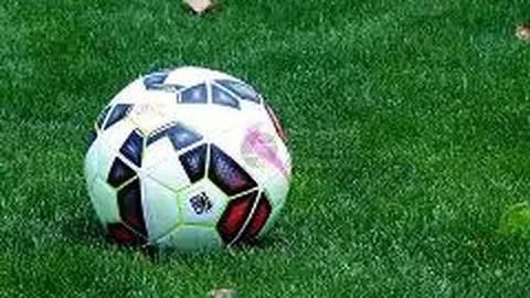 スター学校の紹介をさらに詳しくチェック！