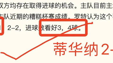 足球对决终极指南：台北白队与原州东浦新世代之战